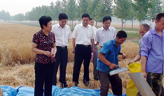 汶上縣人大常委會副主任戴福盈，汶上縣政府副縣長閆波到鄉(xiāng)鎮(zhèn)督導檢查“三夏”生產(chǎn)和秸 ...