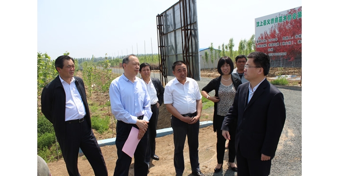 侯典峰陪同林兆謙到縣蘆花雞協(xié)會(huì)、義橋鎮(zhèn)苗木基地實(shí)地檢查指導(dǎo)