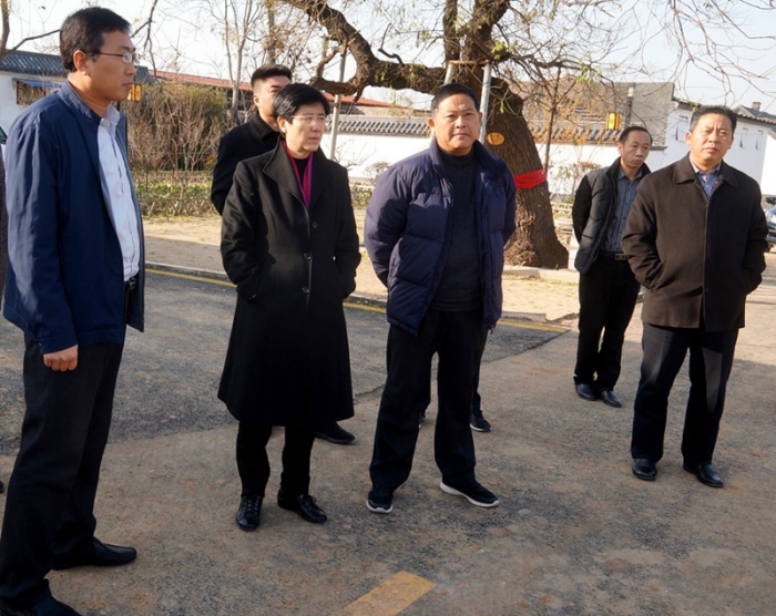 汶上縣人民政府 政務要聞 縣委書記李志紅到白石鎮(zhèn)督導近期重點工作
