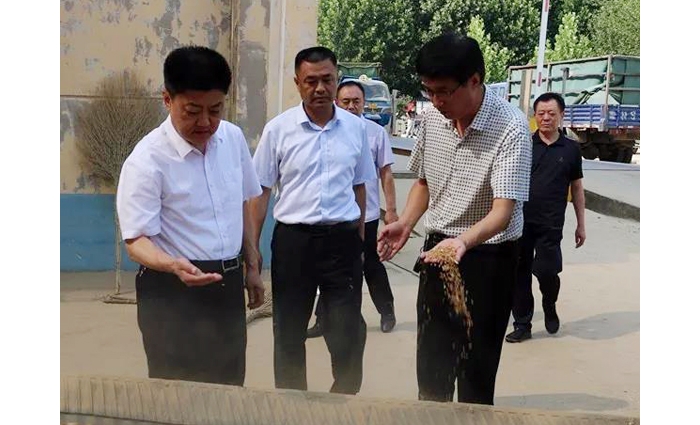 汶上縣人民政府 政務(wù)要聞 縣委常委、副縣長王洪正督導(dǎo)檢查夏糧收購工作