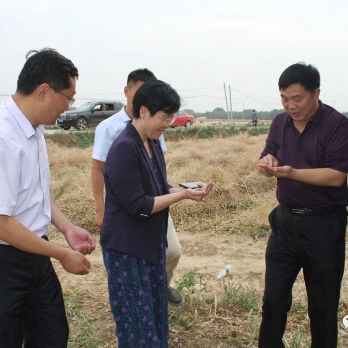 縣委書記李志紅到部分鎮(zhèn)街督導檢查“三夏”生產、秸稈禁燒和鄉(xiāng)村振興工作